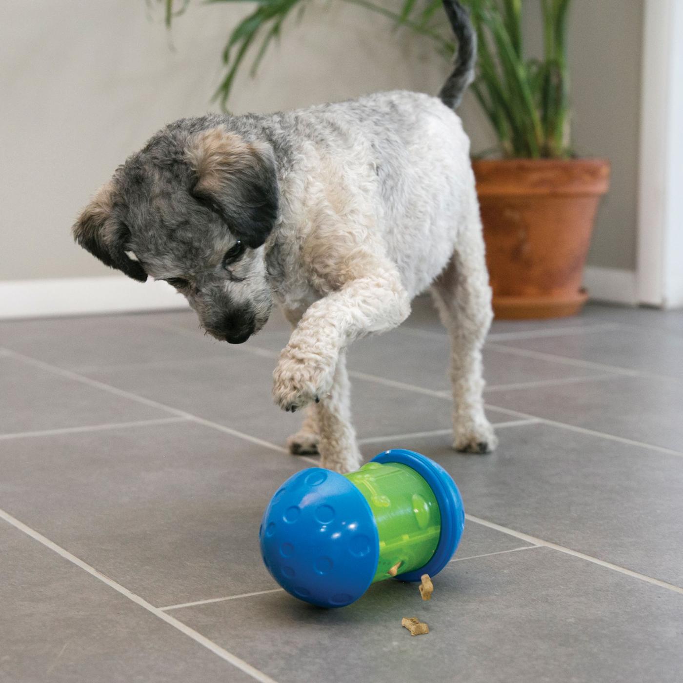 https://www.fredstudiophoto.com/wp-content/uploads/2022/01/kong-interactive-toys-spin-ittoy-treat-dispensing-dog_1.jpg